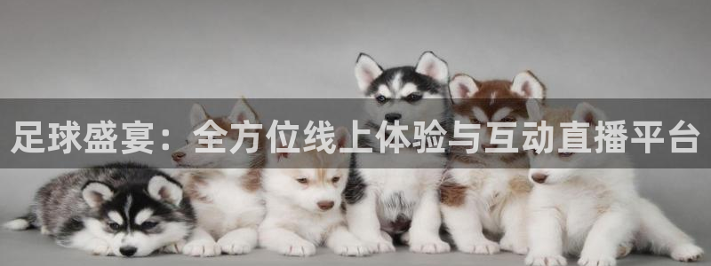 足球盛宴：全方位线上体验与互动直播平台