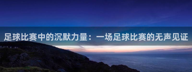 足球比赛中的沉默力量：一场足球比赛的