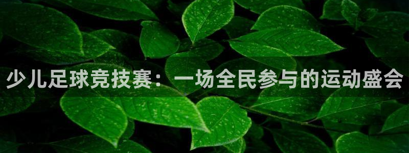 少儿足球竞技赛：一场全民参与的运动盛会