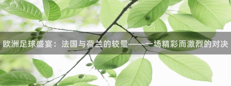 欧洲足球盛宴：法国与荷兰的较量——一场精彩而激烈的对决