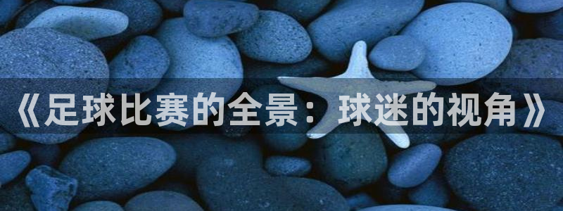 《足球比赛的全景：球迷的视角》