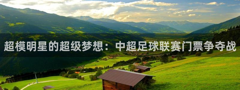 超模明星的超级梦想：中超足球联赛门票争夺战