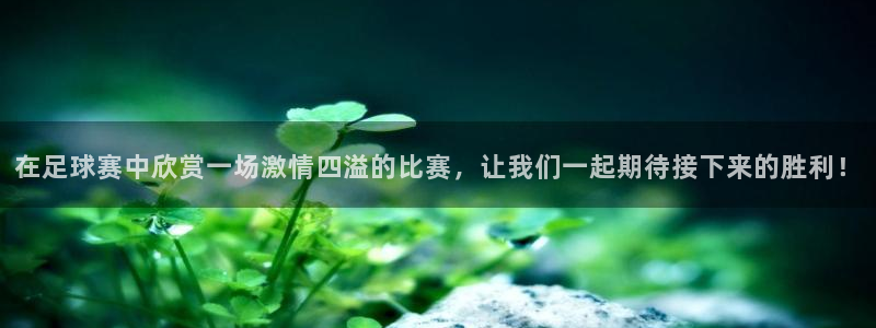  在足球赛中欣赏一场激情四溢的比赛，让我们一起期待接下来的胜利