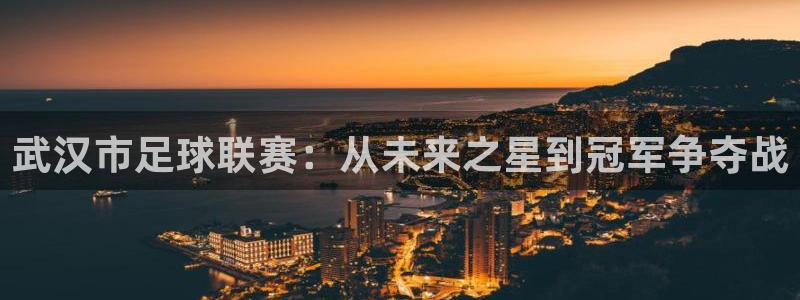  武汉市足球联赛：从未来之星到冠军争夺战