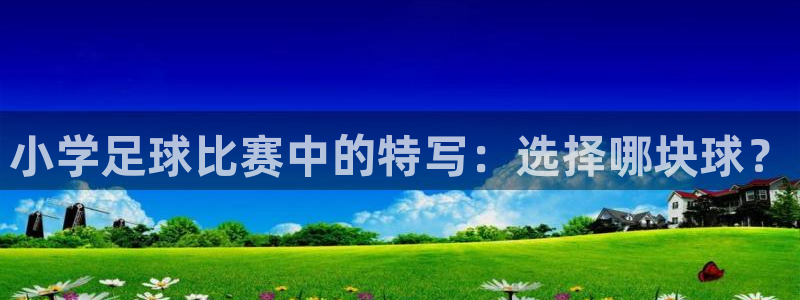  小学足球比赛中的特写：选择哪块球？