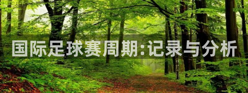 国际足球赛周期:记录与分析