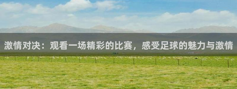  激情对决：观看一场精彩的比赛，感受足球的魅力与激情