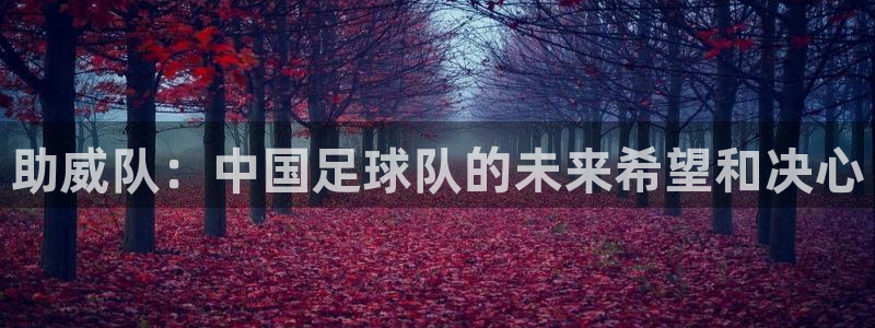助威队：中国足球队的未来希望和决心