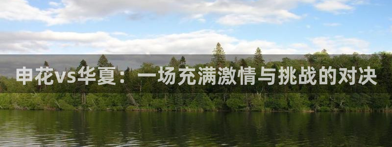  申花vs华夏：一场充满激情与挑战的对决
