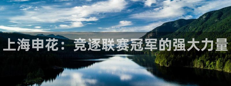 上海申花：竞逐联赛冠军的强大力量