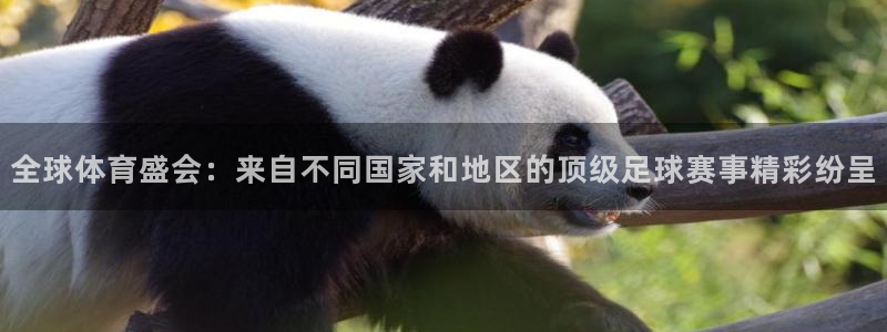 全球体育盛会：来自不同国家和地区的顶级足球赛事精彩纷呈