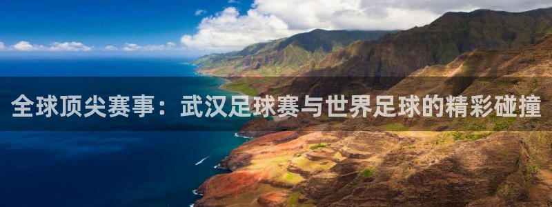 全球顶尖赛事：武汉足球赛与世界足球的精彩碰撞