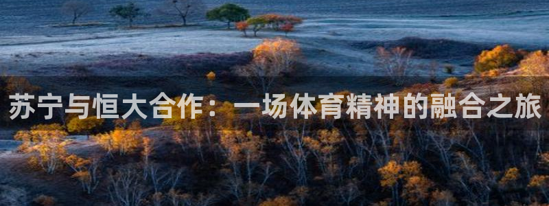  苏宁与恒大合作：一场体育精神的融合之旅
