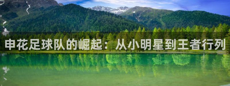 申花足球队的崛起：从小明星到王者行列