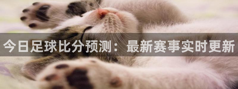 今日足球比分预测：最新赛事实时更新