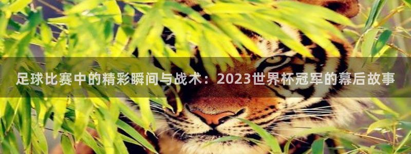  足球比赛中的精彩瞬间与战术：2023世界杯冠军的幕后故事