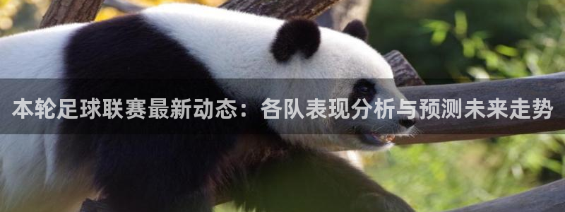 本轮足球联赛最新动态：各队表现分析与