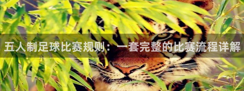 五人制足球比赛规则：一套完整的比赛流