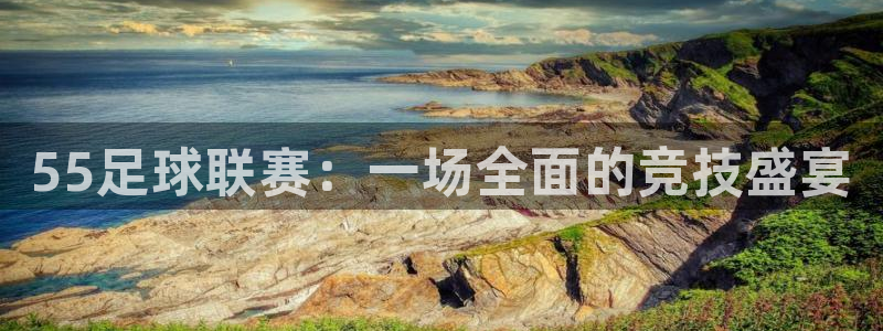 55足球联赛：一场全面的竞技盛宴