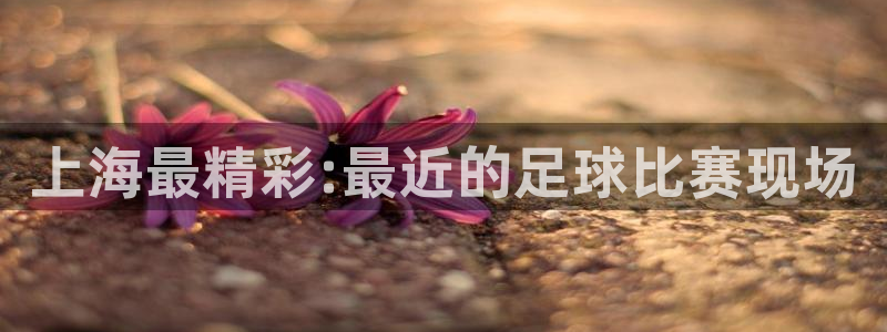 上海最精彩:最近的足球比赛现场