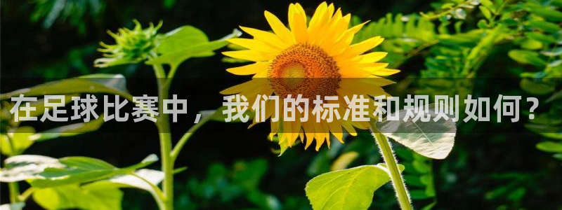 在足球比赛中，我们的标准和规则如何？