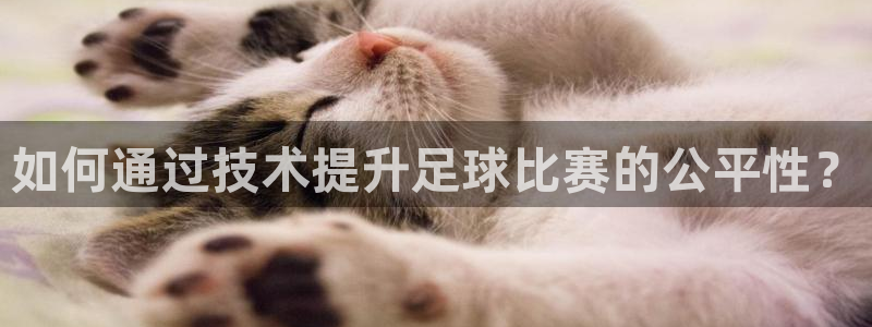 如何通过技术提升足球比赛的公平性？