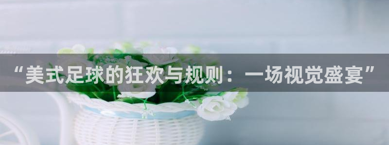 “美式足球的狂欢与规则：一场视觉盛宴