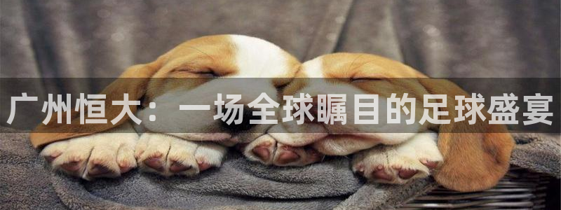广州恒大：一场全球瞩目的足球盛宴