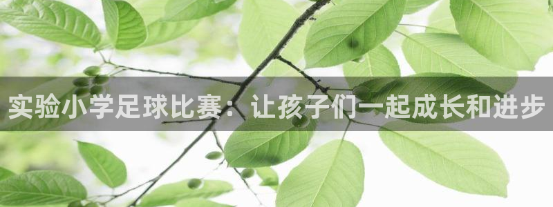 实验小学足球比赛：让孩子们一起成长和
